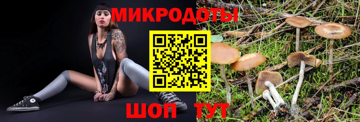 Вязьма  Псилоцибиновые грибы прущие грибы  Вход с VPN  Галлюциногенные грибы GOLDEN TEACHER 