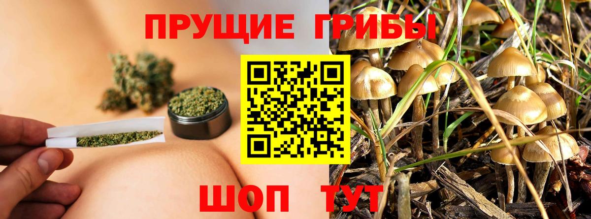 Галлюциногенные грибы мухоморы Вязьма